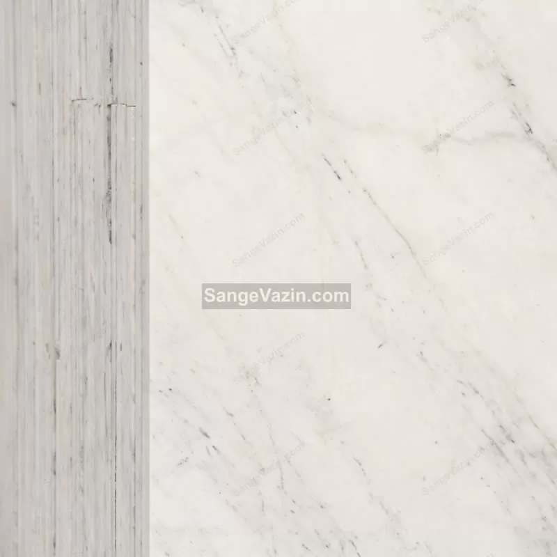 حجر الصيني أليغودرز