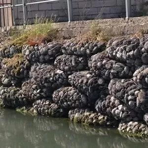 گابیون گونی شکل - کیسه ای