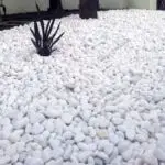 قلوه سنگ سفید رودخانه ای