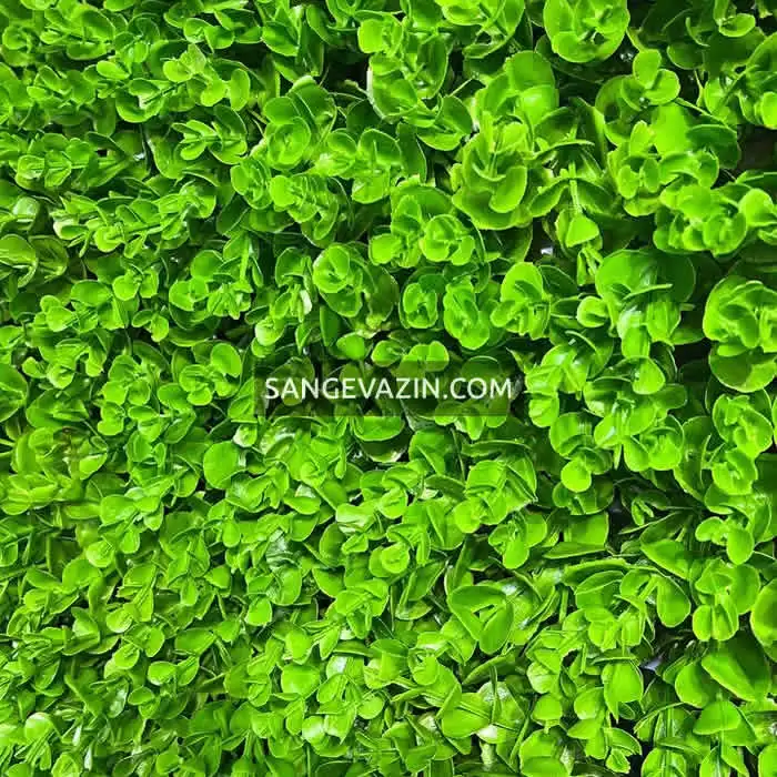 گرین وال مصنوعی طرح شمشادی